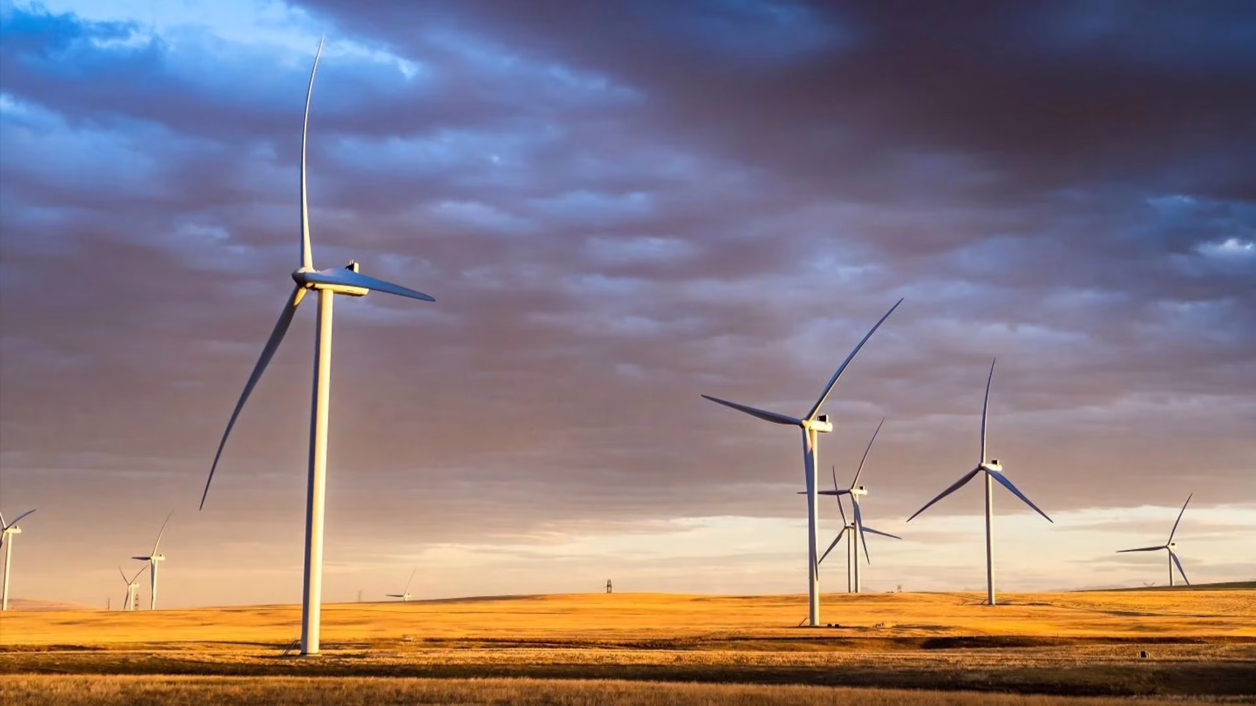 Wind Farm Innovations-Right